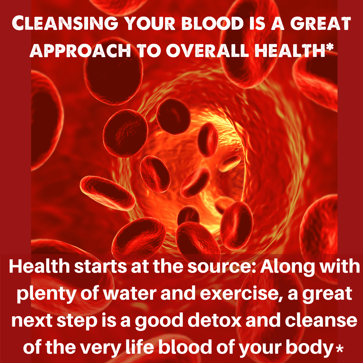 Blood LifeBoost® Tea | USDA Organic Herbal Cleansing Tea (4 oz / 8 oz / 28 Bags) | SpeedyVite® - FREE SHIPPING